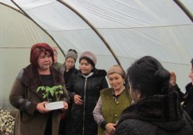 O‘zLiDeP “Ayollar qanoti”: tashabbus sizdan, ko‘mak bizdan фото