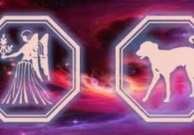 Паризод буржи вакиллари табиатан синчков, майда-чуйдаларга