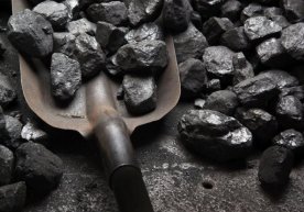 Газ бўлмайдиган ҳудудларда аҳоли кўмир билан узлуксиз равишда таъминланади фото