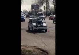 Toshkentda IIB xodimini osiltirib olgan Neksiya haydovchisi qoʻlga olindi (video) фото