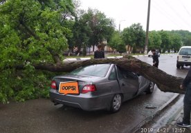 Фото: «Водители Ташкента» / Facebook Тошкентда кучли шамол
