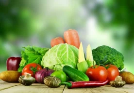 Фото: «On-desktop.com» Франциянинг Монпелье университети