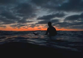 Фото: Unsplash Видам Перевертилов исмли литвалик денгизчи