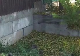 Тошкент шаҳрида жамоатчилик эътиборини жалб этган нохуш