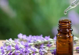Lavanda yog‘i qadimdan inson salomatligi va go‘zalligi