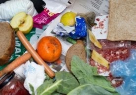 Бирлашган Миллатлар Ташкилоти ҳисоб-китобига кўра,