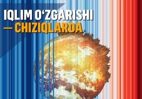 “Иқлим ўзгариши кўрпачаси” – оддий график чизиқлар глобал исиш рамзига айланди фото