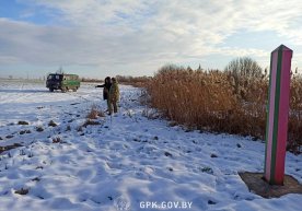 Беларус чегарачилари халқаро қидирувда бўлган ўзбекистонликни қўлга олди фото