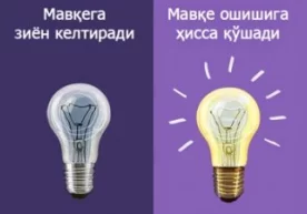 Har bir inson o‘z tanlagan sohasining professionali