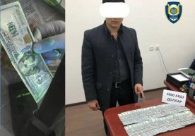 Toshkentda 6000 dollar evaziga fuqaroni o‘qishga kiritmoqchi bo‘lgan shaxs ushlandi фото