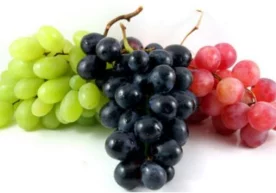 Август-сентябр ойларида узум сайллари авж олади. Биз