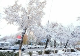 23 декабрь куни Ўзбекистон ҳудудларида об-ҳаво асосан