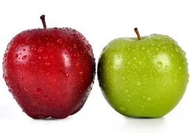 East Fruit нашри таҳлилчилари жорий мавсумда Ўзбекистон