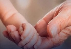 Фото: Миллий статистика қўмитаси Ўзбекистонда ёши катта