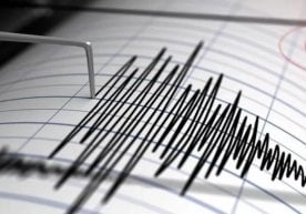 В Узбекистане произошло землетрясение. Об этом сообщило