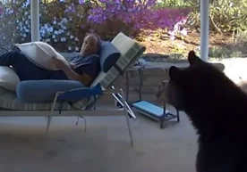 AҚШда америкалик эркак стулда дам олаётган пайтда унинг