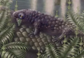 Канадада олимлар ҳайвонлар эволюцияси тарихини “қайта очиб