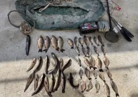 Экология ва атроф-муҳитни муҳофаза қилиш қўмитаси, Давлат