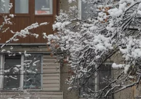 Ўтган тун Ўзбекистоннинг кўплаб ҳудудларида қор кузатилди.