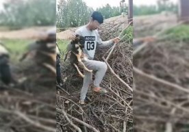 Фото: Тошкент шаҳар ИИББ Ўзбекистон ҳайвонларни ҳимоя