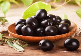 Xorazm viloyatining Hazorasp tumanida zaytun yetishtirish