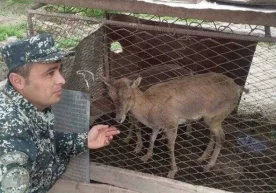 Foto: Telegram/Ekologuz Surxondaryo viloyatida ikki