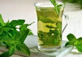 Nane (Latince: Mentha, Özbekçe: ялпиз, Rusça: мята),