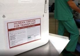 Woman arrested in Poland for human organ trafficking фото