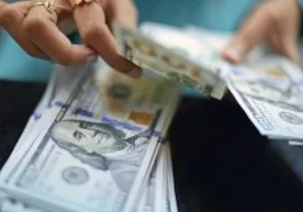 Миллий статистика қўмитасининг маълумотларига кўра,