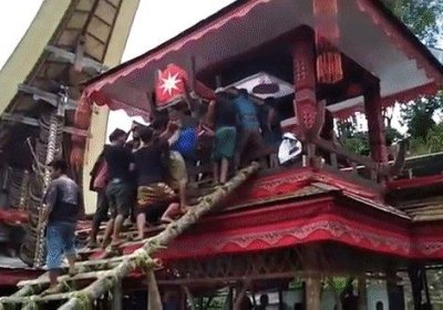 Indoneziyada erkakni onasining tobuti bosib qoldi (video) фото