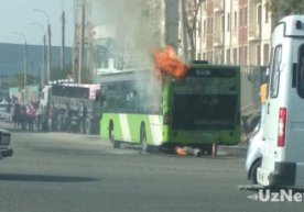 Паркент бозори атрофида яна бир Mercedes-Benz автобуси ёнди (фото, видео) фото