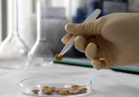 ЖССТда коронавирусдан ўлим ҳолатларини камайтирмайдиган дорилар маълум қилинди фото