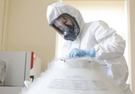 Инфекция қаёққа ғойиб бўлди? Австралияда коронавирус қайд этилмади фото
