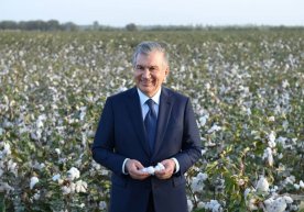 Shavkat Mirziyoyev Qo‘shtepada g‘o‘zani tomchilatib sug‘orish texnologiyasini ko‘zdan kechirdi фото