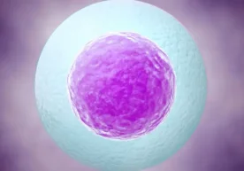 Ҳомиладор бўлишни ният қилган ҳар бир аёл ўз танасида