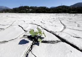 El-Nino boshlanmoqda: Yerda eng issiq kun qayd etildi фото