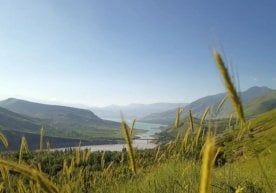 Иш ҳафтасининг сўнгигача Ўзбекистон ҳудудининг катта