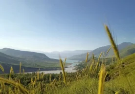 Иш ҳафтасининг сўнгигача Ўзбекистон ҳудудининг катта