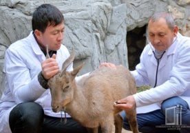 Сурхондарё вилояти экология ва атроф-муҳитни муҳофаза