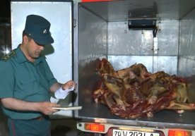 Qashqadaryodan Toshkentga olib ketilayotgan 100 kilogramm yaroqsiz go‘sht yo‘q qilindi фото