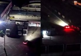 Toshkentning Uchtepa tumanida ikki shaxs itlarni mashina