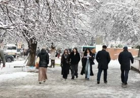 Ўзбекистонга совуқ ҳаво массалари кириб келмоқда. Бу ҳақда