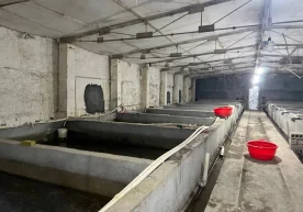 Фото: Ҳудудгазтаъминот Тошкент вилоятида ерости балиқ