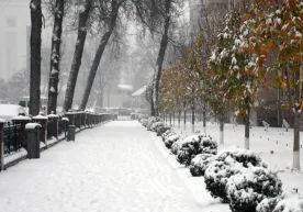 O‘zgidromet 12-15-dekabrda respublikaning barcha