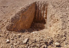 Сурия ҳукумати Дҳумаир чўлида жойлашган оммавий