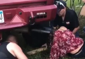 АҚШнинг Миннесоте шаҳрида ҳамма нарсага қизиқувчан қизнинг