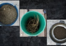 Foto: Tergov departamenti 2021 yilning 21 yanvar kuni soat