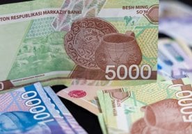 Олий таълимда таҳсил олаётган талабалар учун