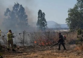 “Hizbulloh” Isroil shimolidagi harbiy inshootlarga keng ko‘lamli havo hujumi uyushtirdi фото