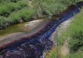 2025 йил 3 октябрь куни тонгда Қашқадарё вилояти Нишон